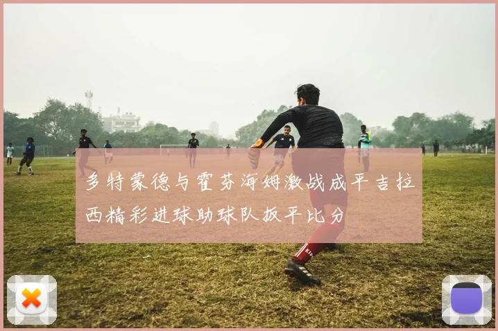 多特蒙德与霍芬海姆激战成平吉拉西精彩进球助球队扳平比分
