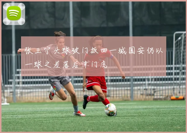 张玉宁头球破门扳回一城国安仍以一球之差落后津门虎