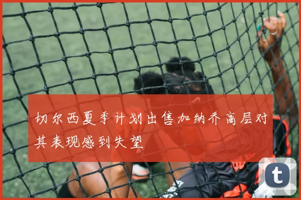 切尔西夏季计划出售加纳乔高层对其表现感到失望