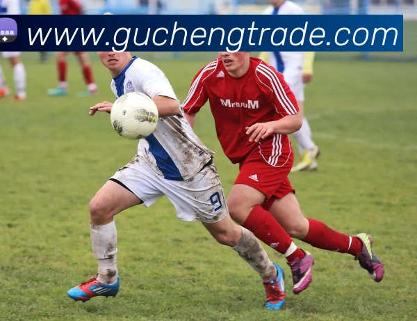 星空平台生态图